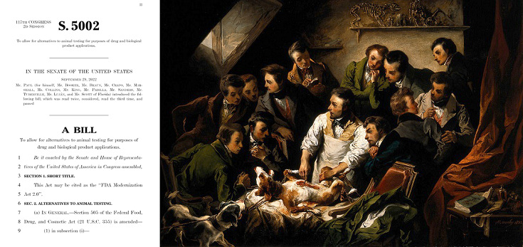 1748937246880433.jpg 圖1 動(dòng)物實(shí)驗(yàn)與FDA現(xiàn)代法案2.0.jpg